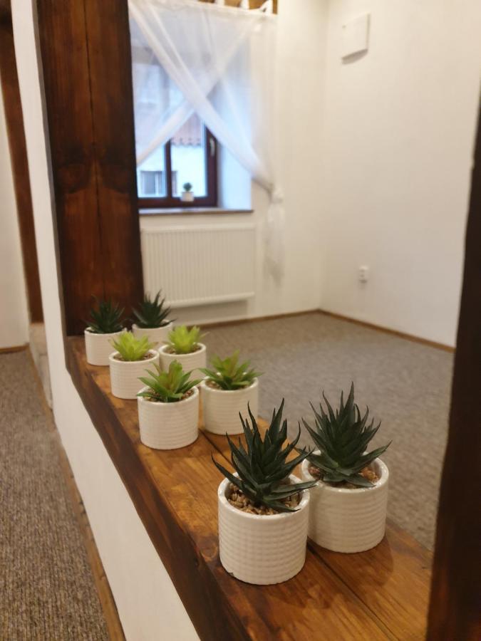 U Mikesu Apartment Vyšší Brod Bagian luar foto