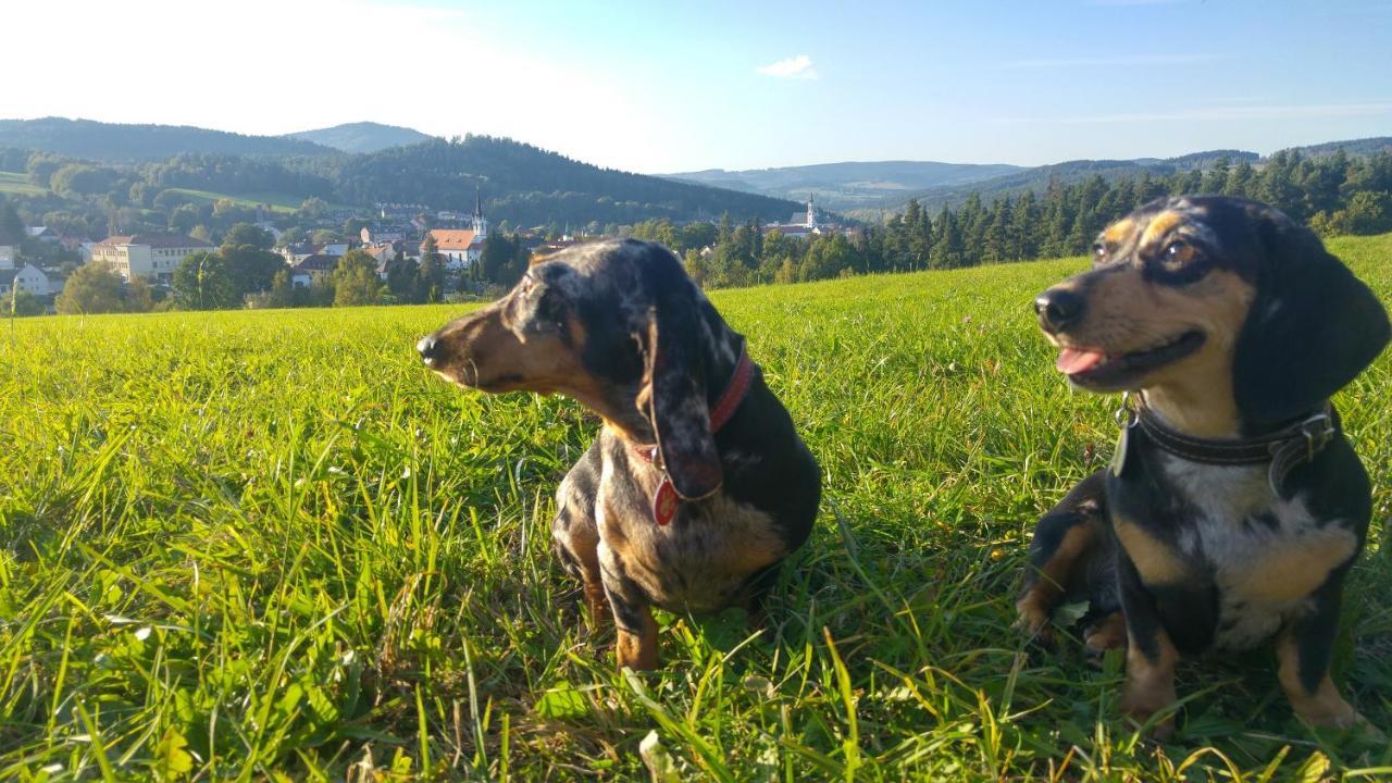 U Mikesu Apartment Vyšší Brod Bagian luar foto